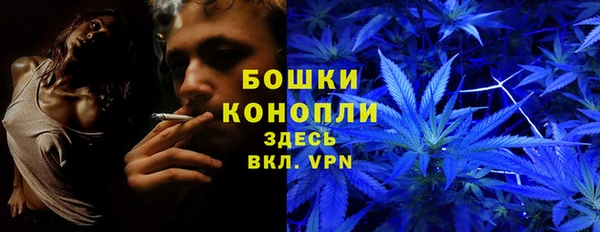 мет Богданович