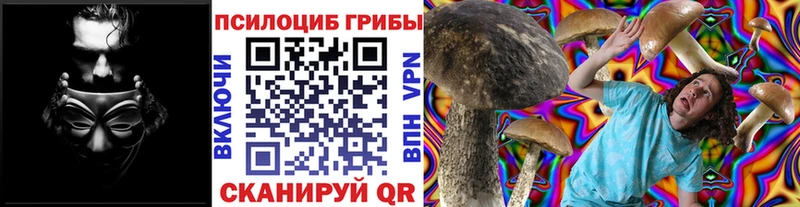 Галлюциногенные грибы GOLDEN TEACHER Белая Холуница