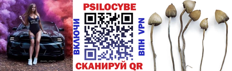 Галлюциногенные грибы Psilocybe  Купить где  Белая Холуница 